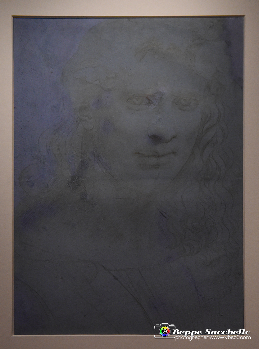 VBS_9736 - Mostra A tu per tu con Leonardo.jpg